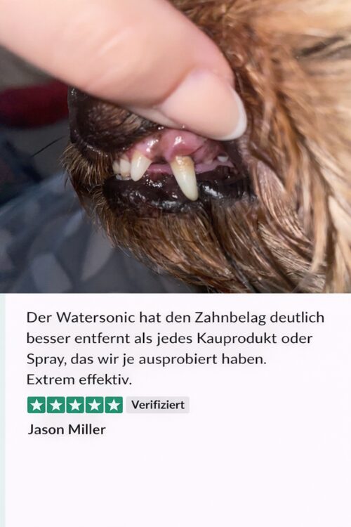 Návrh bez názvu - 2026-01-12T131550.576