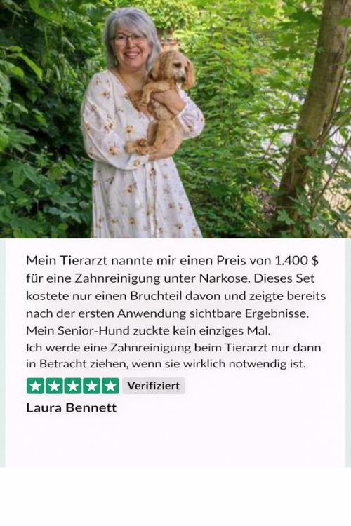 Návrh bez názvu - 2026-01-12T131655.895