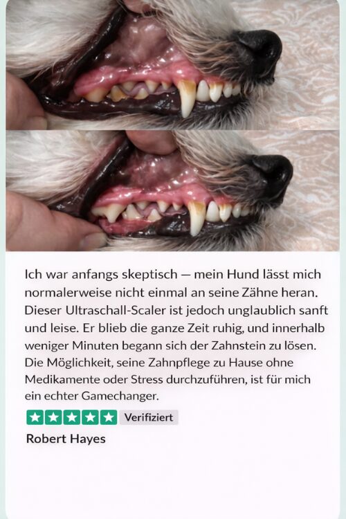 Návrh bez názvu - 2026-01-12T131803.583