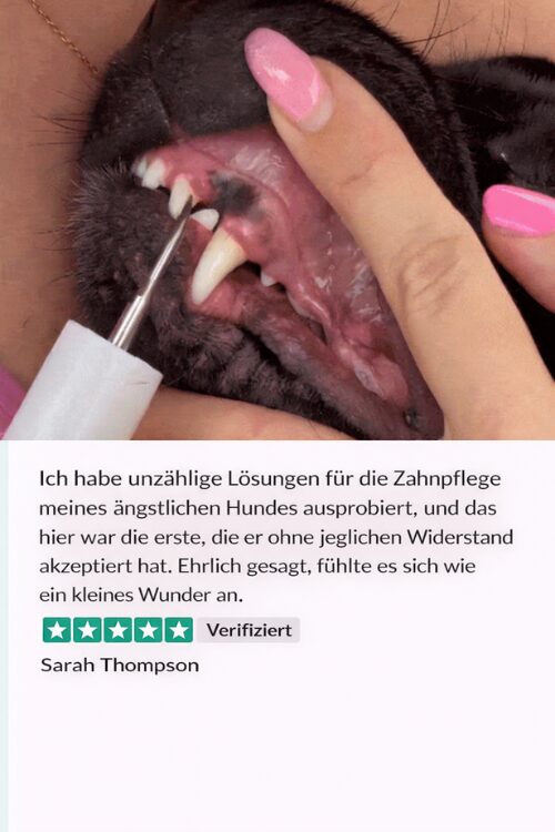 Návrh bez názvu - 2026-01-12T131821.913