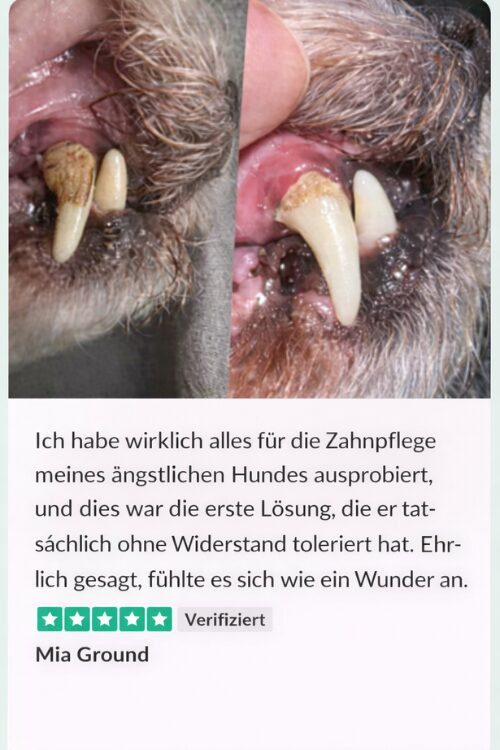 Návrh bez názvu - 2026-01-12T131844.564